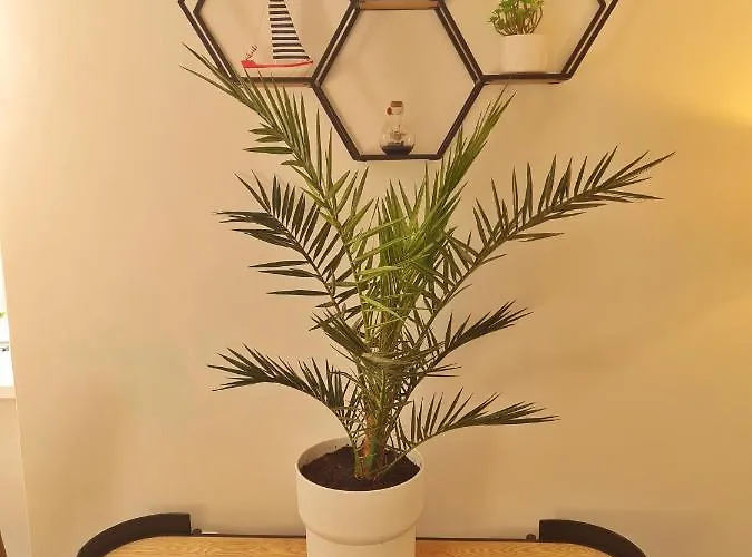 Tatil Evi Place Veli Dvor - With Private Garden In Old Town Punat