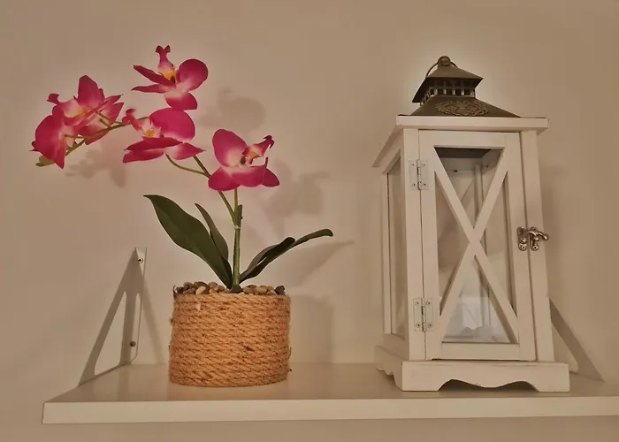 Place Veli Dvor - With Private Garden In Old Town *