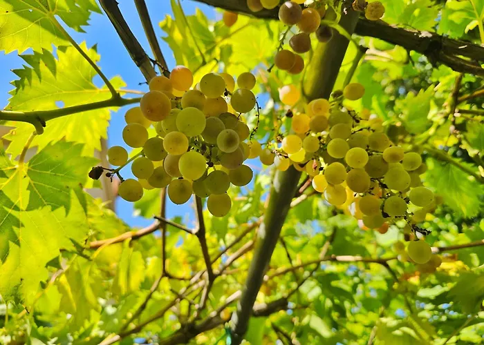 Tatil Evi Place Veli Dvor - With Private Garden In Old Town Punat