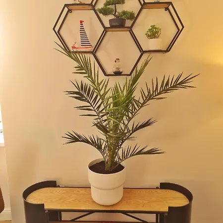 בית נופש Place Veli Dvor - With Private Garden In Old Town פונאנט