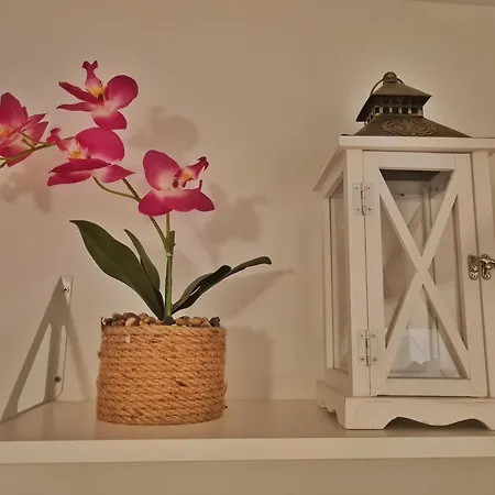 Place Veli Dvor - With Private Garden In Old Town *