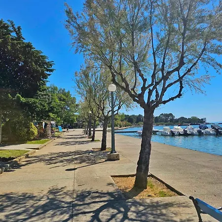 Place Veli Dvor - With Private Garden In Old Town בית נופש *