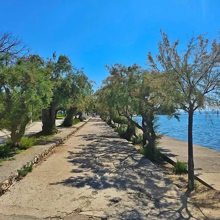 Place Veli Dvor - With Private Garden In Old Town בית נופש פונאנט